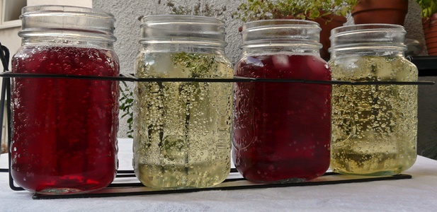 Selbstgemachte, schnelle Verjus-Limonaden: mit Traubensaft oder Minze und Apfeldicksaft